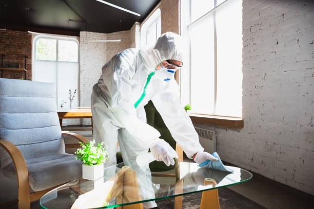 Why You Should Choose Our Mold Remediation Services in Bogata, TX